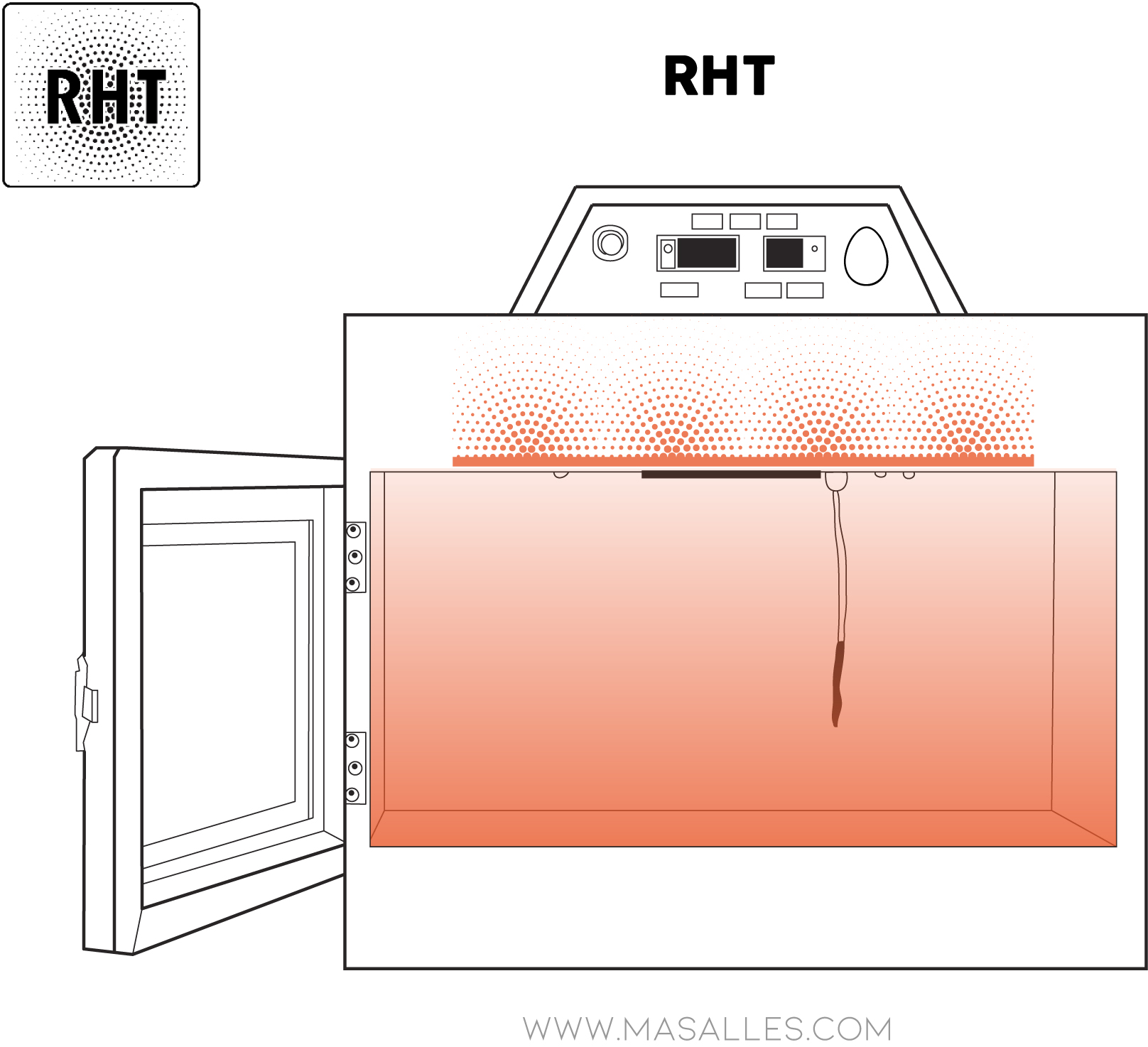 masalles falcon icono explicacion rht